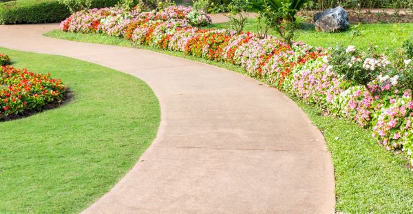 Sidewalk Maintenance in Chico